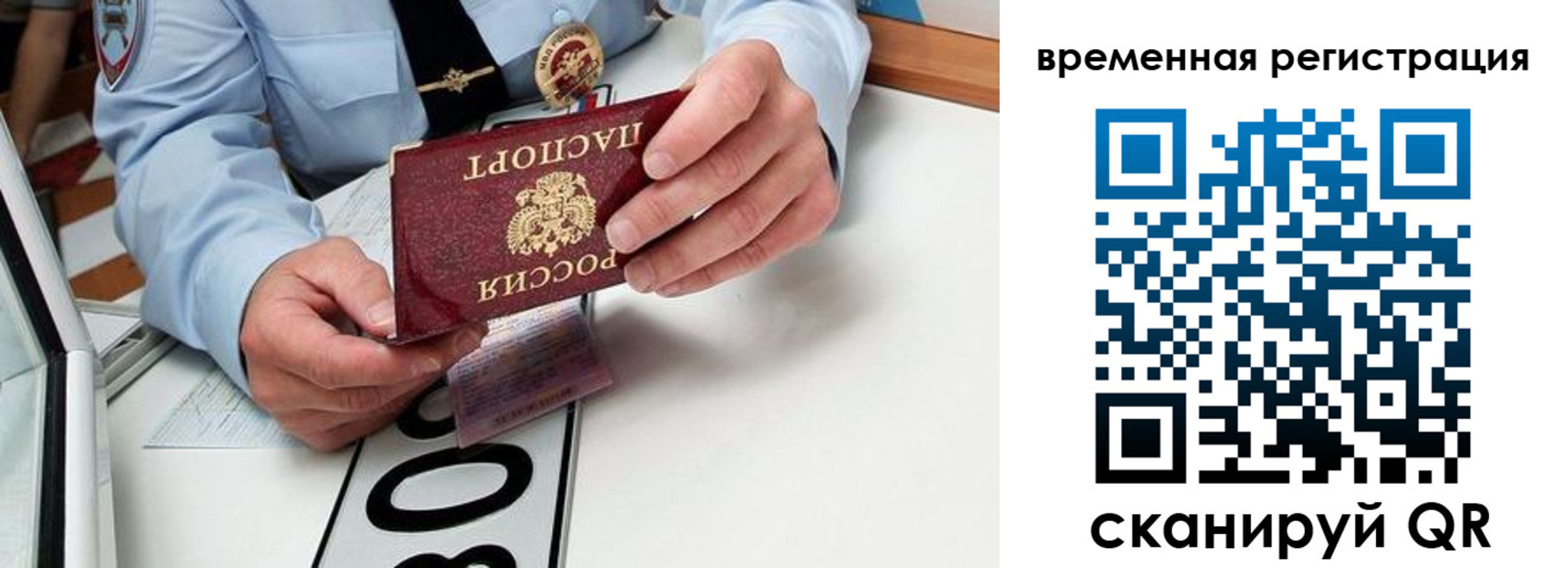 прописка гарантия в Гагарине